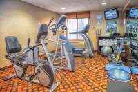 Holiday Inn Express & Suites RICHLAND by IHG - Gym