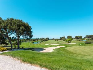 Provence Country Club Prestige (Lss212)