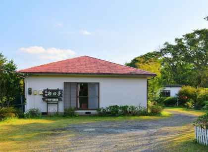 Yakushima Minsyuku Suginoko