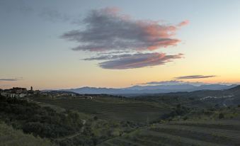 a beautiful sunset over a field of grape vines , with the sky painted in shades of pink and orange at Trossos del Priorat