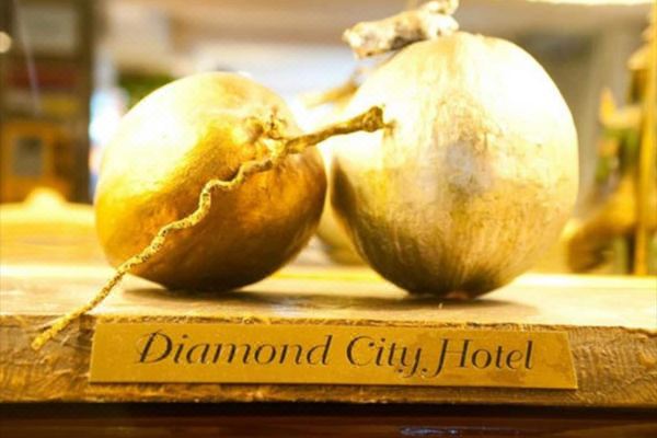 다이아몬드 시티 호텔(Diamond City Hotel)_3