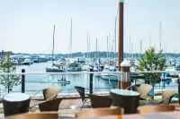 Newport Marriott Hotel & Spa - Ocean View