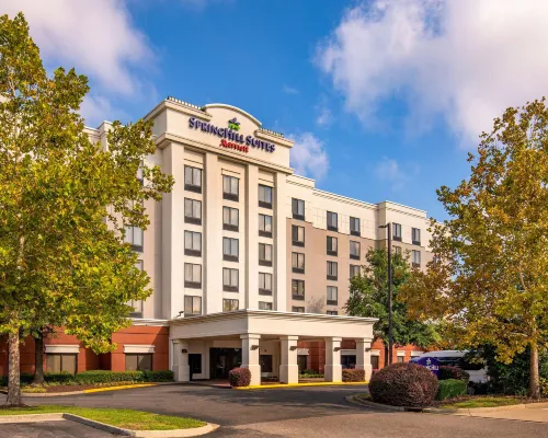SpringHill Suites Norfolk Virginia Beach Hotels in Norfolk