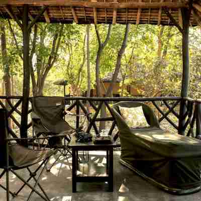 Jim's Jungle Retreat Hotel Exterior