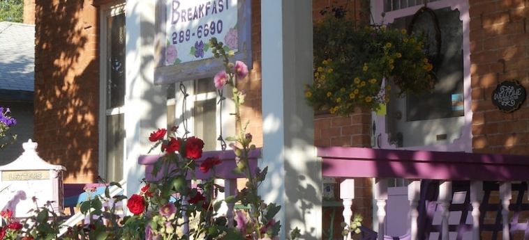 Violet Rose Bed & Breakfast - Housity
