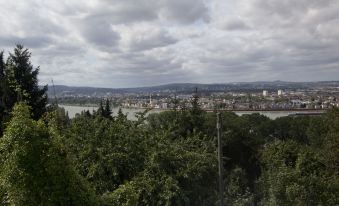 Hotel Rhein-Mosel-View