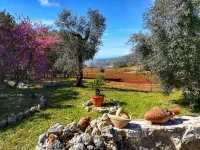 Villa Cycas Relaxation in Nature Hotels in Itri