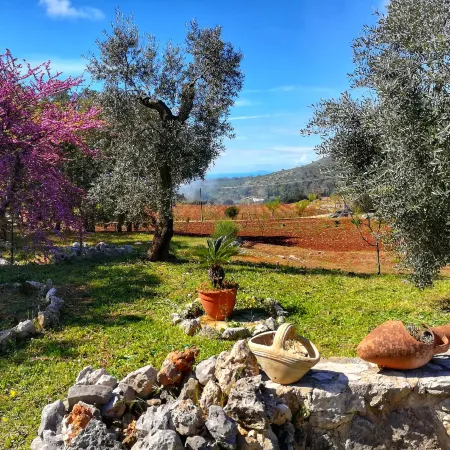 Villa Cycas Relaxation in Nature