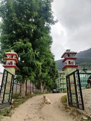 Hotel Mount Kailash Hotels near Ram Temple
