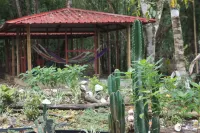 Cebaco Sunrise Lodge Hotels in 