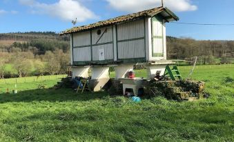 Pension Albergue Los Caminantes