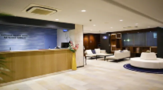 武藏新莊川崎第一酒店 鄰近等等力體育館的酒店