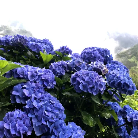 Farmer's Inn Nakajima