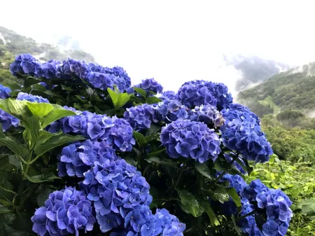 Farmer's Inn Nakajima Отели в г. Мима