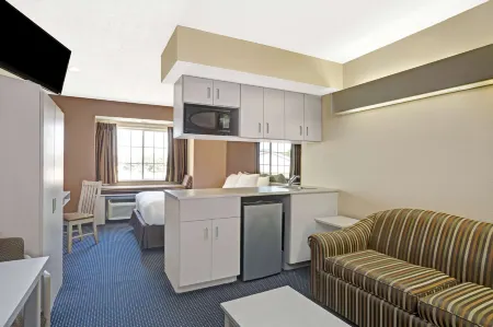 Microtel Inn & Suites by Wyndham Houston
