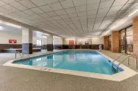 Drury Plaza Hotel St. Paul Downtown - Pools