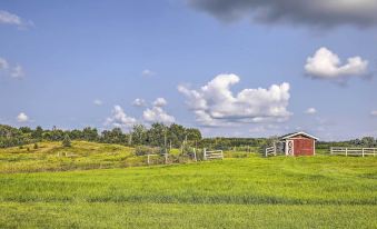 Eclectic Ladysmith Hideaway: Hike and Hunt!