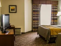 Comfort Inn Hotels in Birch Run