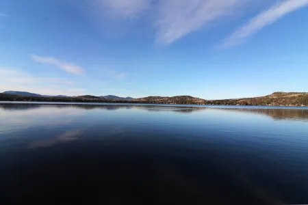 Les Trois Mentors : Ghandi, Mandela, Luther King