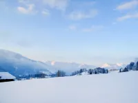 Widhölzl Hotel a Reit im Winkl