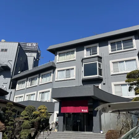 Hotel New Umeya