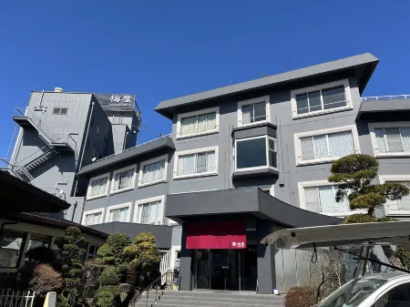 Hotel New Umeya Отели рядом с достопримечательностью «Цукубский университет»