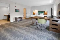 Hampton Inn & Suites Sarasota/Bradenton-Airport Hotel a Whitfield