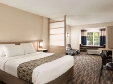 Microtel Inn & Suites by Wyndham Florence/Cincinnati Airport Hotels in Florence