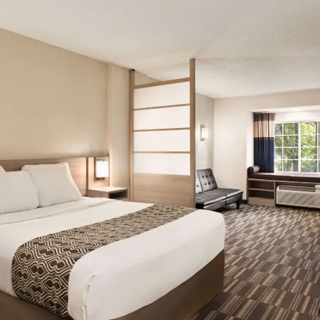 Microtel Inn & Suites by Wyndham Florence/Cincinnati Airport