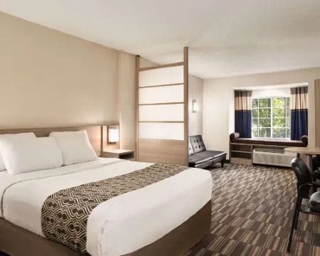 Microtel Inn & Suites by Wyndham Florence/Cincinnati Airport Hotels in Florence