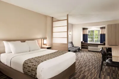 Microtel Inn & Suites by Wyndham Florence/Cincinnati Airport Hotels in Florence