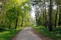 Knappenstöckl Hotels in Halbturn