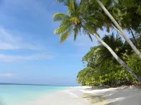 Vaali Maldives Island Escapes & Dive - Beach