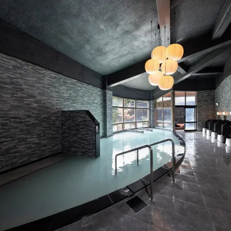 Hotel Seiunso