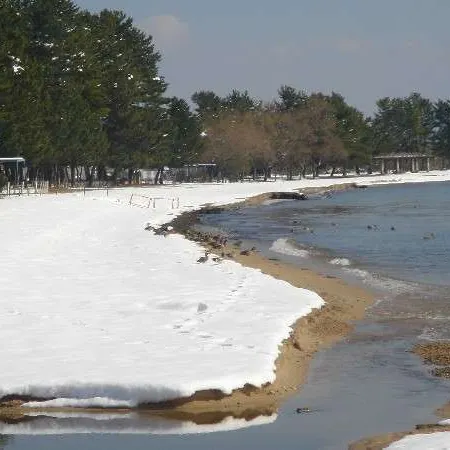 Shirahamaso
