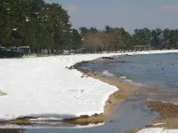 Shirahamaso Hotels in Takashima