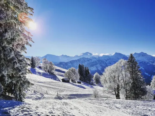 Lilo/Studio Hotel di Beatenberg