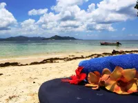 Le Surmer Self Catering Chalets فنادق في لا ديغو