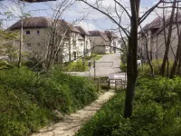 Green Garden Q17 - 203 with Shared Pool