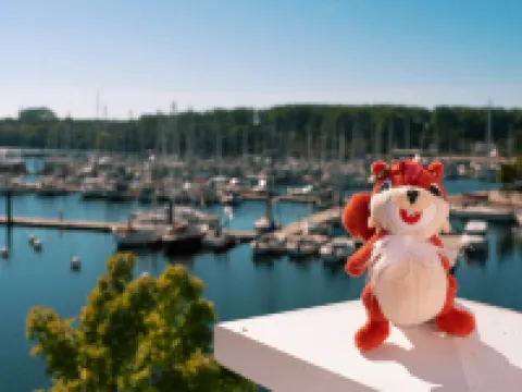 Beech Resort Boltenhagen