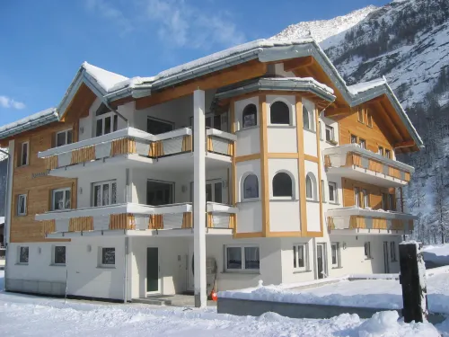 Alpenstern Distel