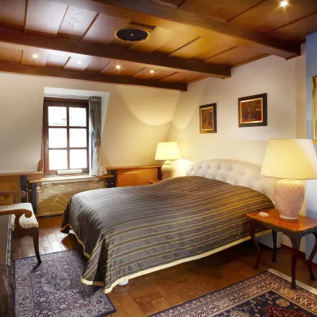 Royal Ricc Hotels in Brno