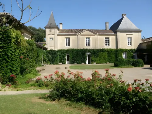 Château Fleur de Roques - Puisseguin Saint Emilion Hotels in Lussac