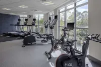 Hilton Garden Inn Charleston / Mt. Pleasant Hotels in Mount Pleasant