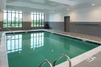 Hilton Garden Inn Gallatin - Pools