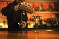 內珀維爾河濱英迪格飯店 - 酒吧