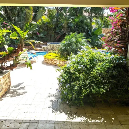 Adorable 1-Bedroom-Apartment 2 km from Eagle Beach