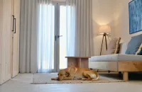 Suite in Evia Bay hotel Edipsos Hotels in Istiaia-Aidipsos