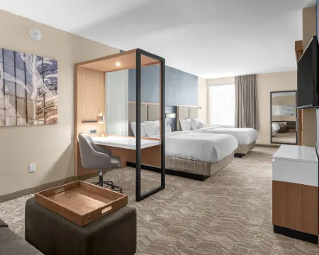 SpringHill Suites Jackson Hotels in Jackson