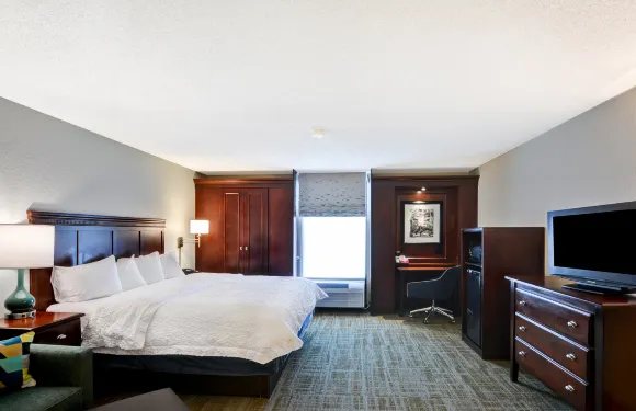 希爾頓歡朋酒店-夏洛特加斯託尼亞